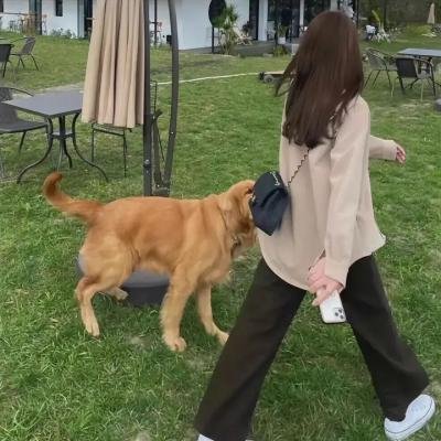 阴阳先生之末代天师
